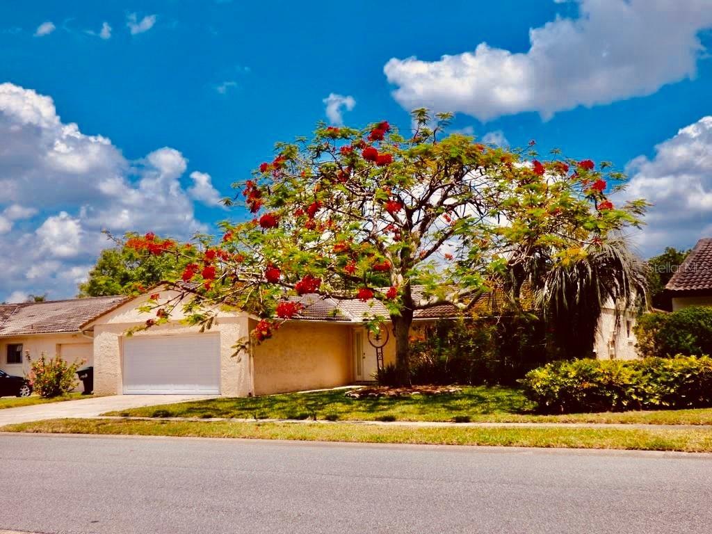 10563 Montpelier Cir., Orlando, FL 32821