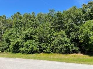 1447 Swift Ct., Poinciana, FL 34759