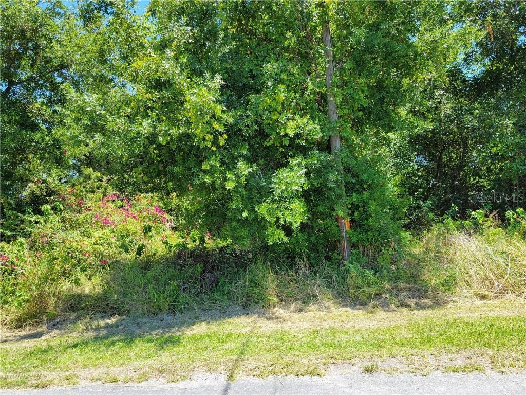 248 Cheshire Ct., Kissimmee, FL 34758