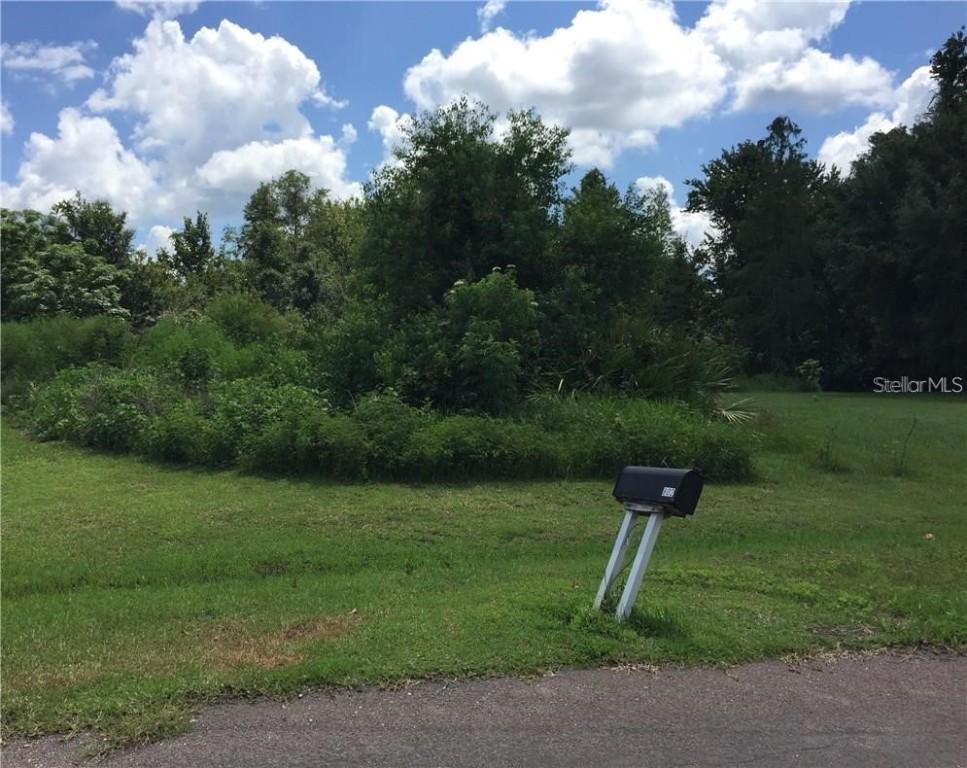 Toledo Ct., Kissimmee, FL 34758