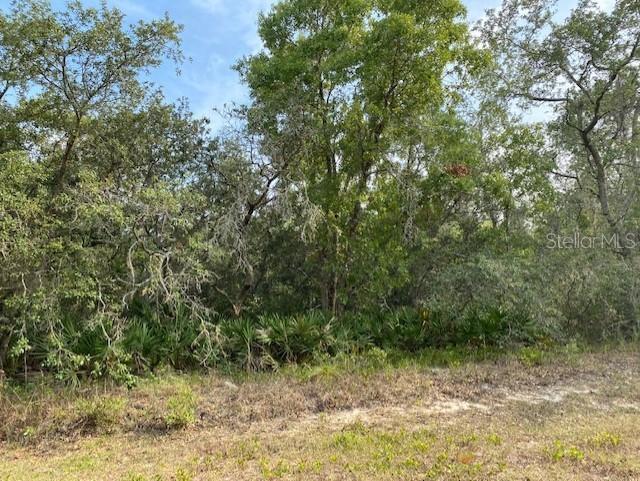 439 Rainbow Ct., Poinciana, FL 34759