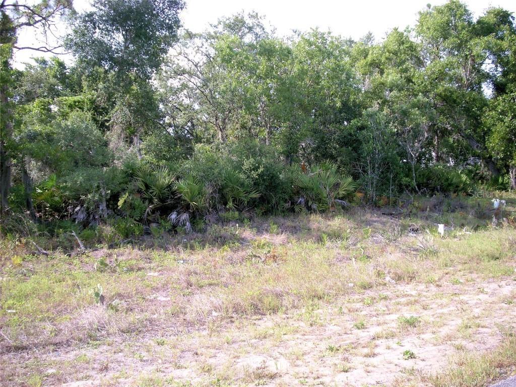 439 Big Black Pl., Poinciana, FL 34759