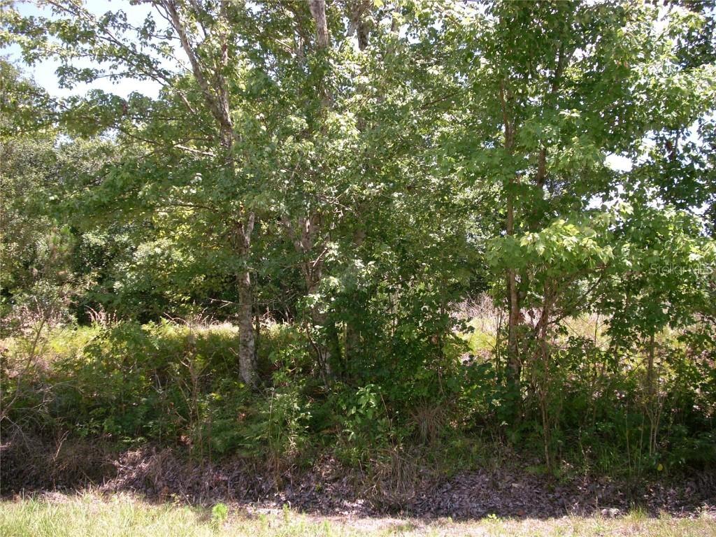 145 Sparrow Ct., Poinciana, FL 34759