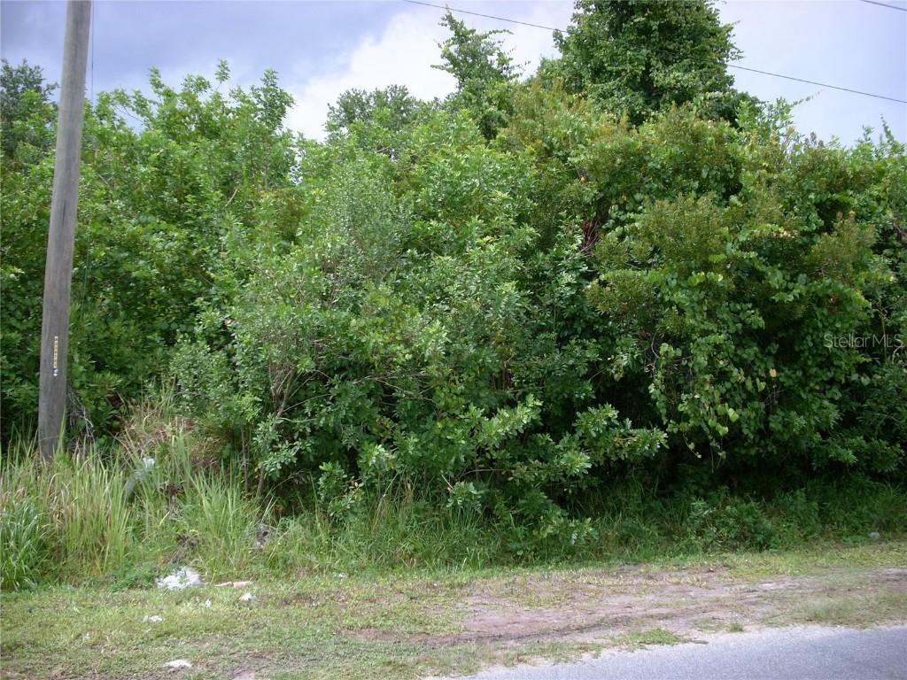 68 Andora Ct., Kissimmee, FL 34758