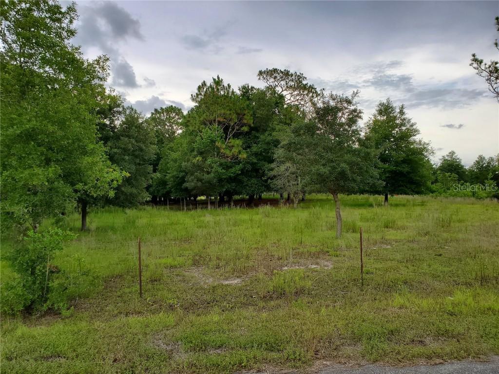 SE 181 Ct., Morriston, FL 32668