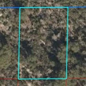 TBD Ne 68th Pl., Williston, FL 32696