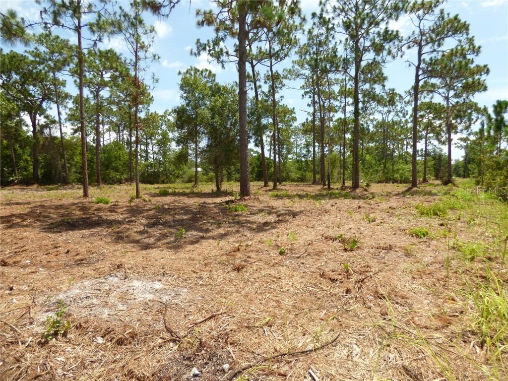 Crosley Ave., St. Cloud, FL 34772