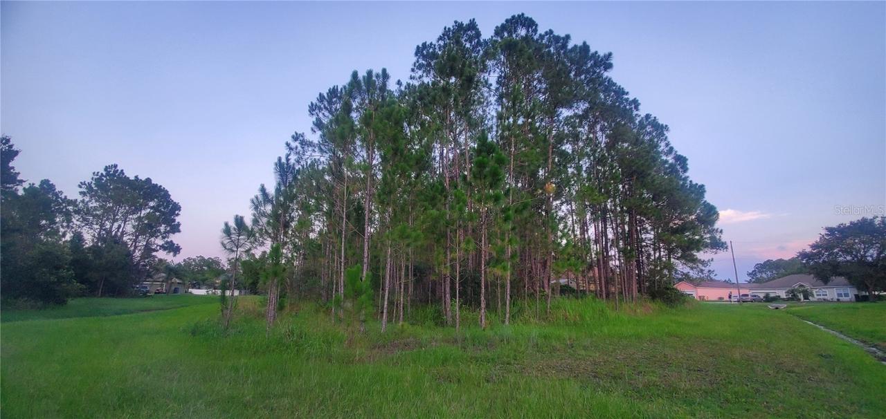 Gateshead Ct., Kissimmee, FL 34758