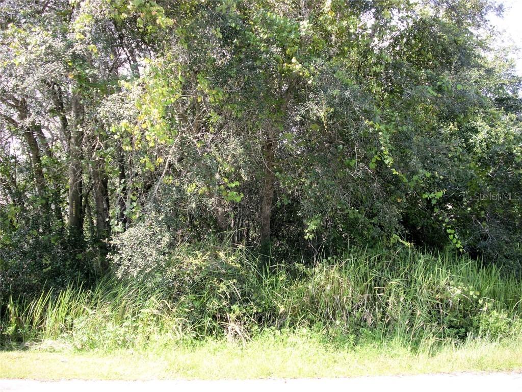 13 Haddock Way, Poinciana, FL 34759