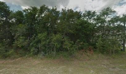 154 Conch Dr., Poinciana, FL 34759
