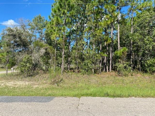 7542 N Cricket Dr., Citrus Springs, FL 34434