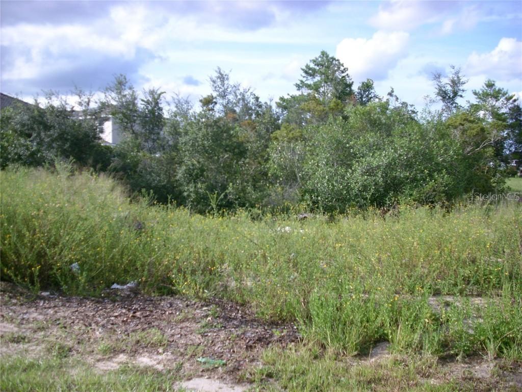 109 Sweet Pea Ct., Poinciana, FL 34759