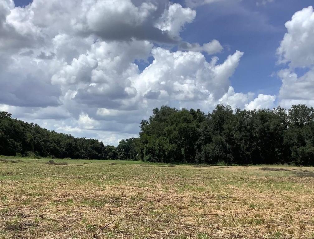 2305 Gainer Ln., Plant City, FL 33567