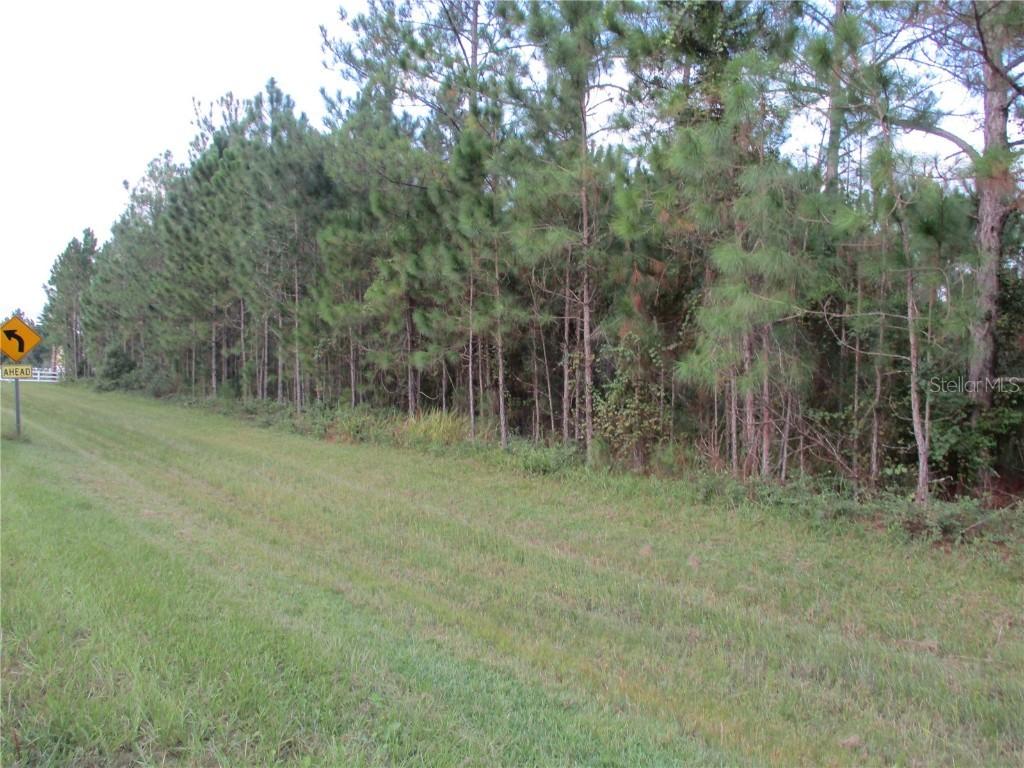 204 Hidden Palms Dr., Davenport, FL 33897