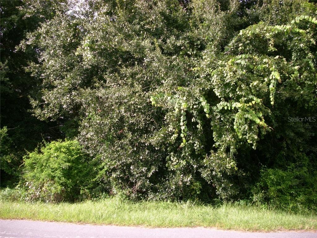 203 Canterbury Ct., Kissimmee, FL 34758