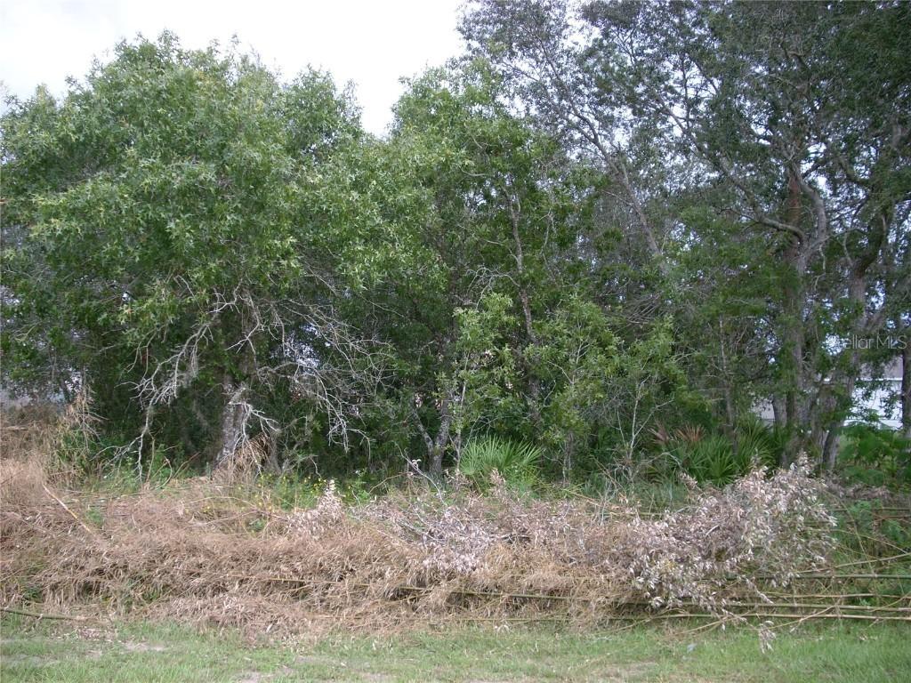 1956 Michigan Dr., Poinciana, FL 34759