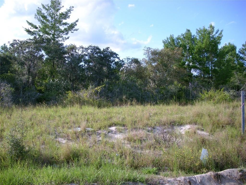 125 Sweet Pea Ct., Poinciana, FL 34759