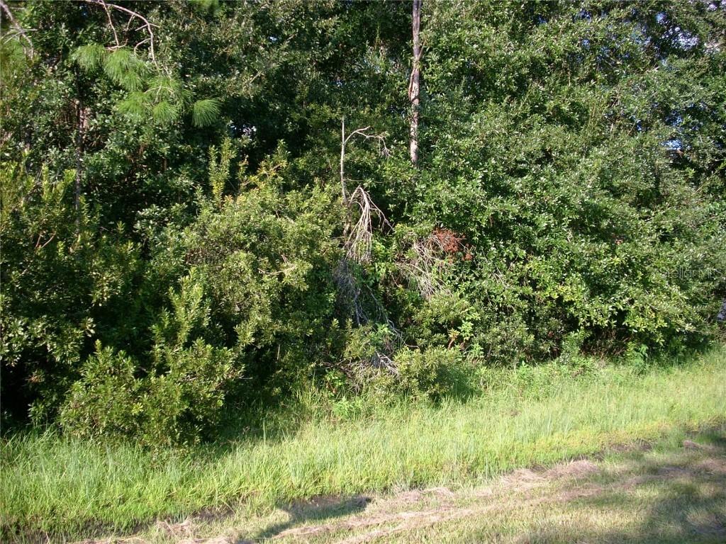 710 Pasteur Ln., Kissimmee, FL 34759