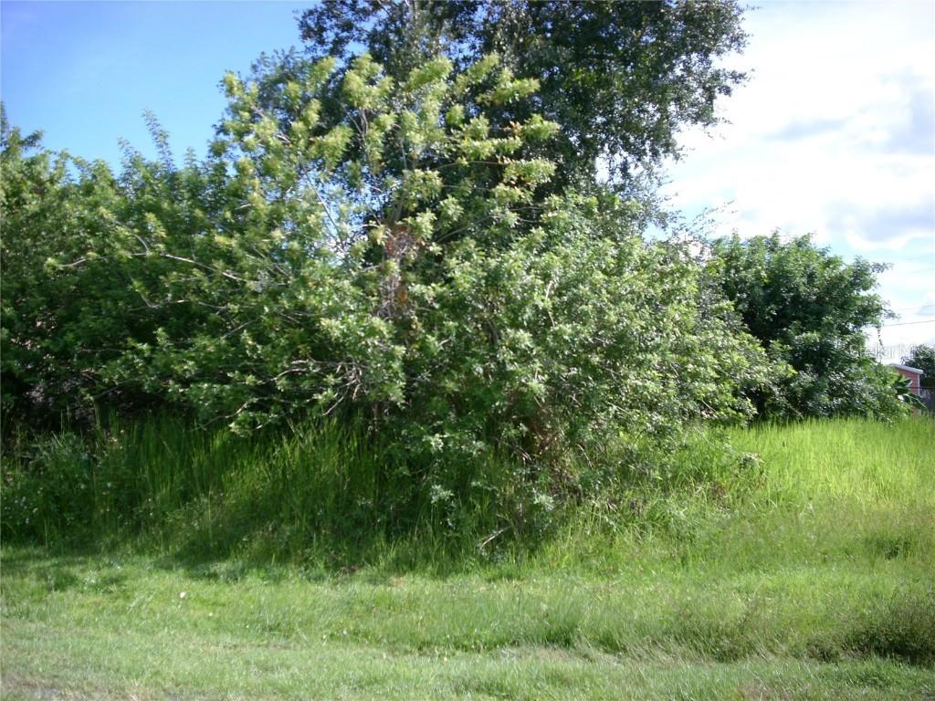 102 Coconut Grove Way, Kissimmee, FL 34758