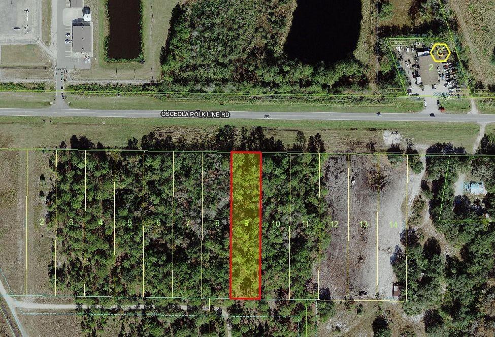 Osceola Polk Line Rd., Davenport, FL 33896