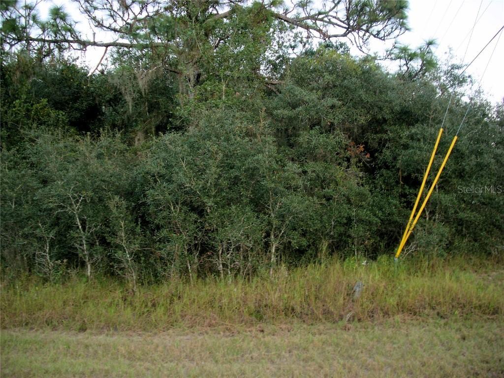 1401 Sarasota Ct., Poinciana, FL 34759