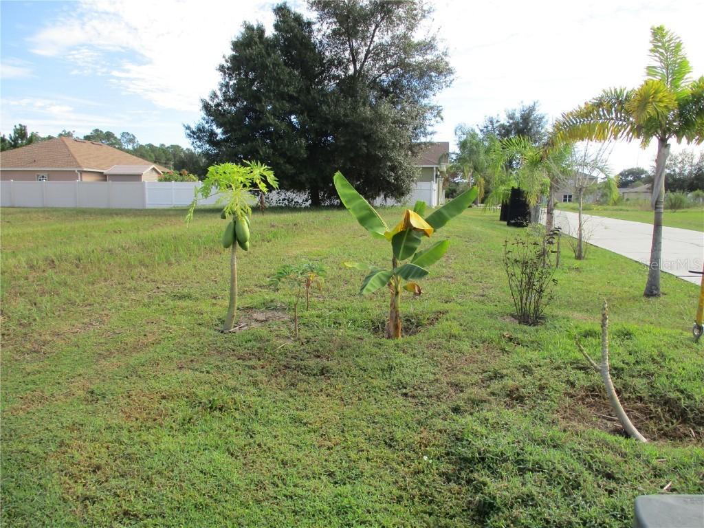Stockport Dr., Kissimmee, FL 34758