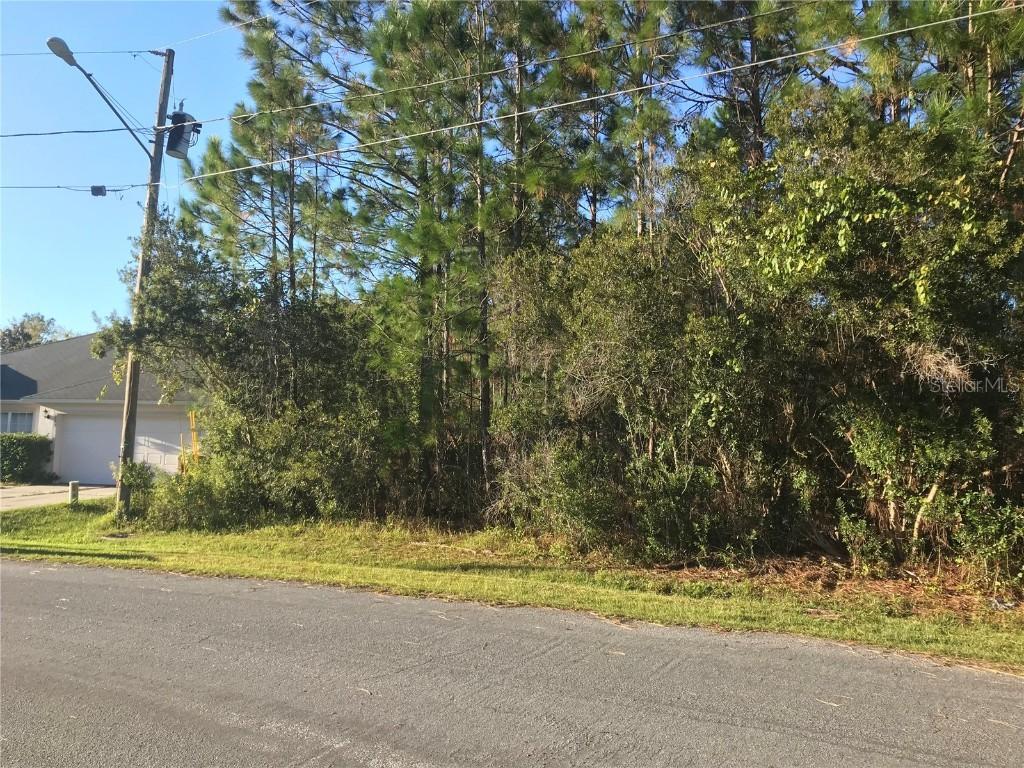 967 Cambridge Ct., Kissimmee, FL 34758