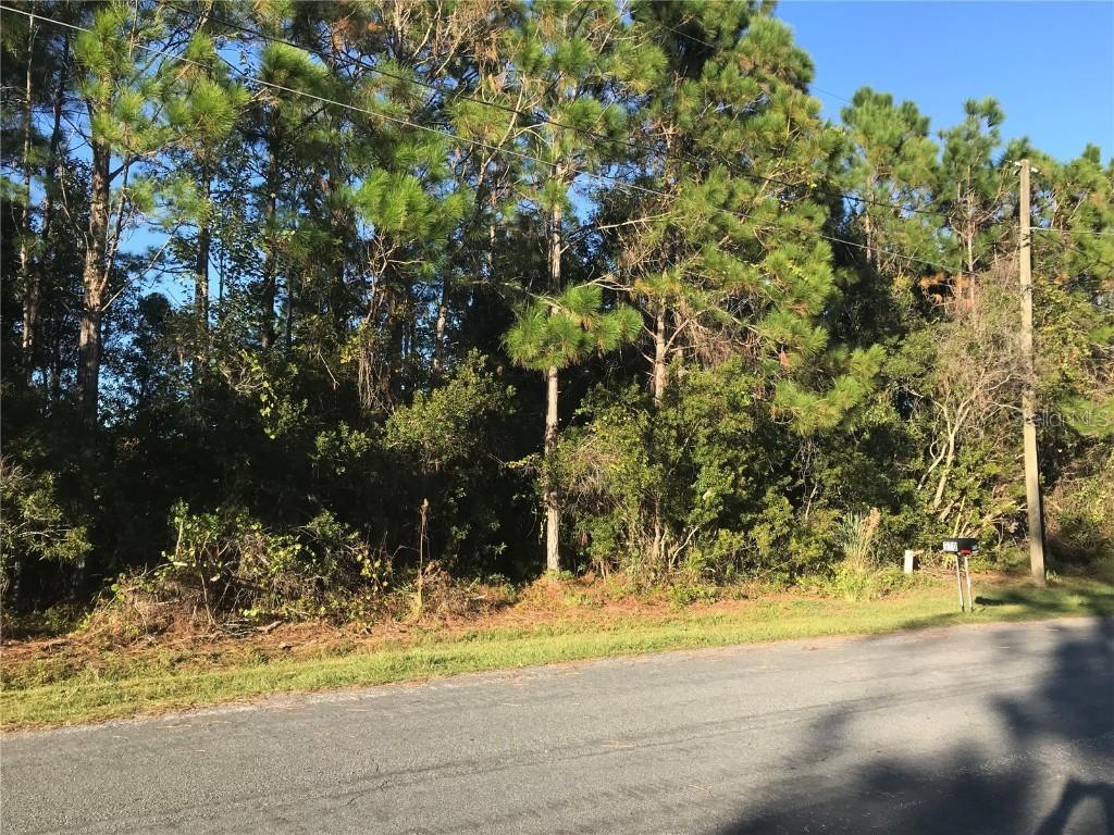 969 Cambridge Ct., Kissimmee, FL 34758