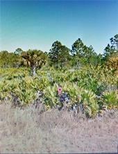 518 Louis Ave., Lehigh Acres, FL 33972