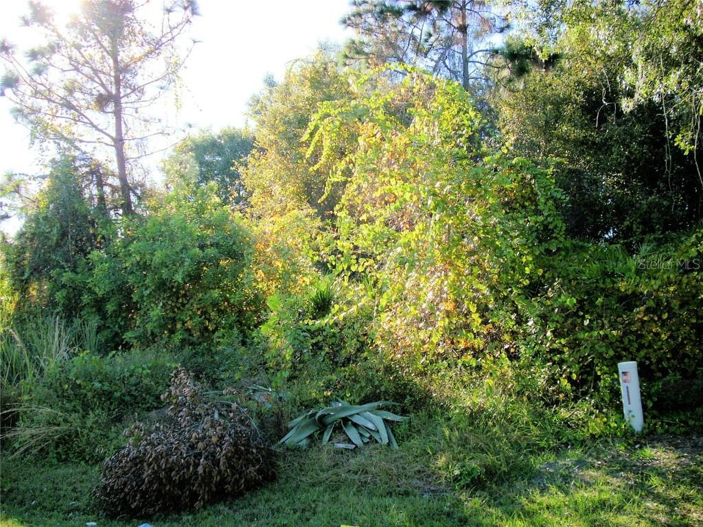 825 Hazel Grove Ct., Kissimmee, FL 34758