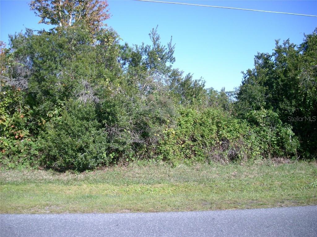 711 Paris Dr., Kissimmee, FL 34759