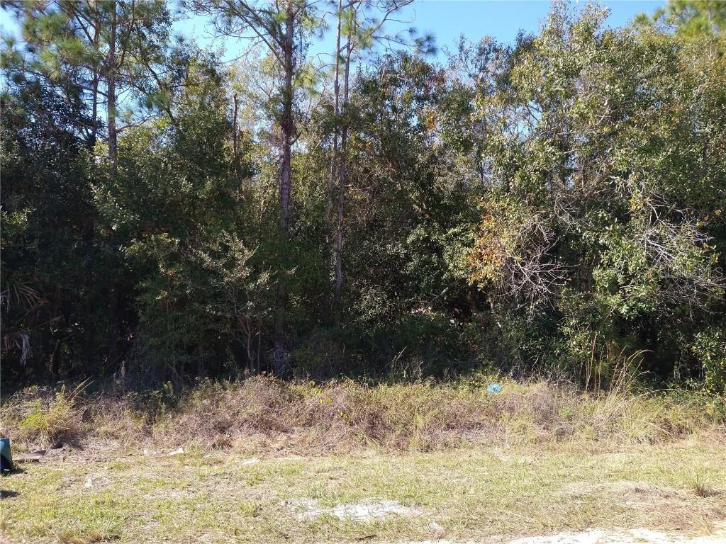 1406 Teal Dr., Poinciana, FL 34759