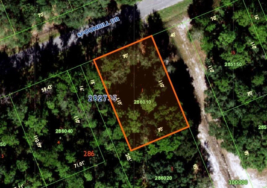 230 Spoonbill Dr., Poinciana, FL 34759