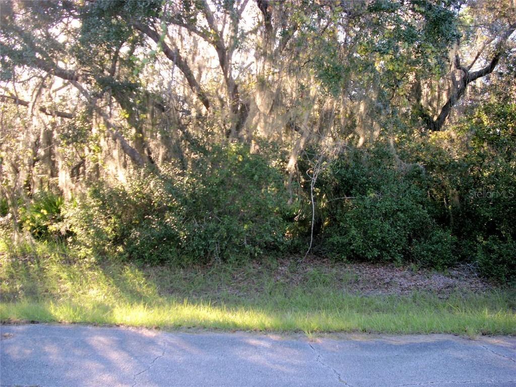 1267 Baltic Dr., Poinciana, FL 34759