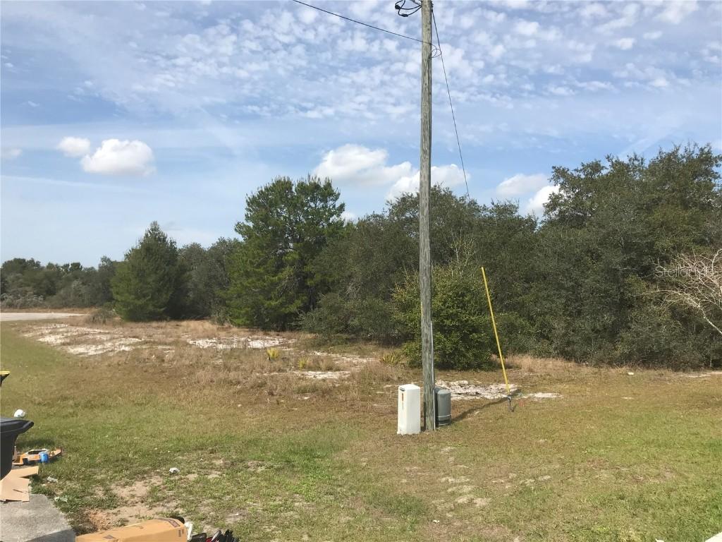 971 Cambridge Ct., Kissimmee, FL 34758