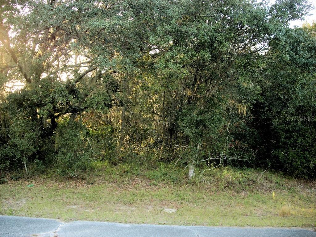 1263 Baltic Dr., Poinciana, FL 34759