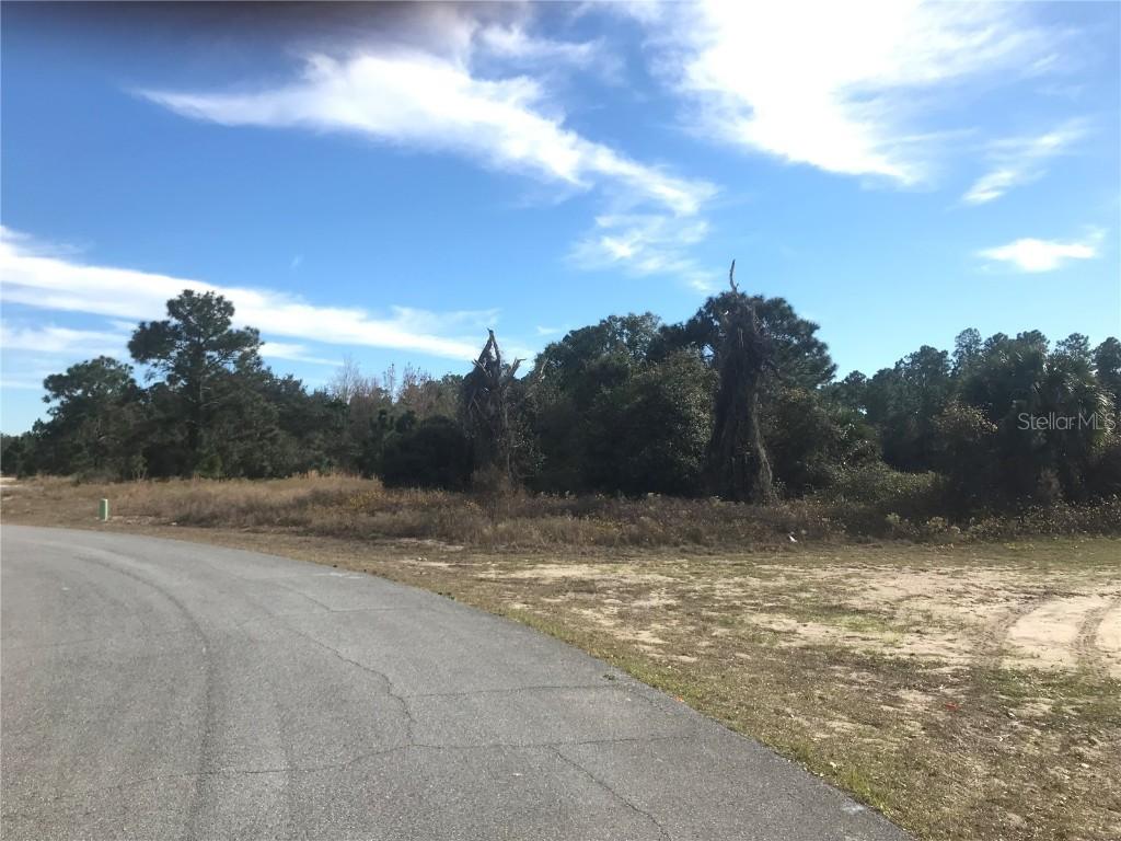 10 Trout Way, Poinciana, FL 34759
