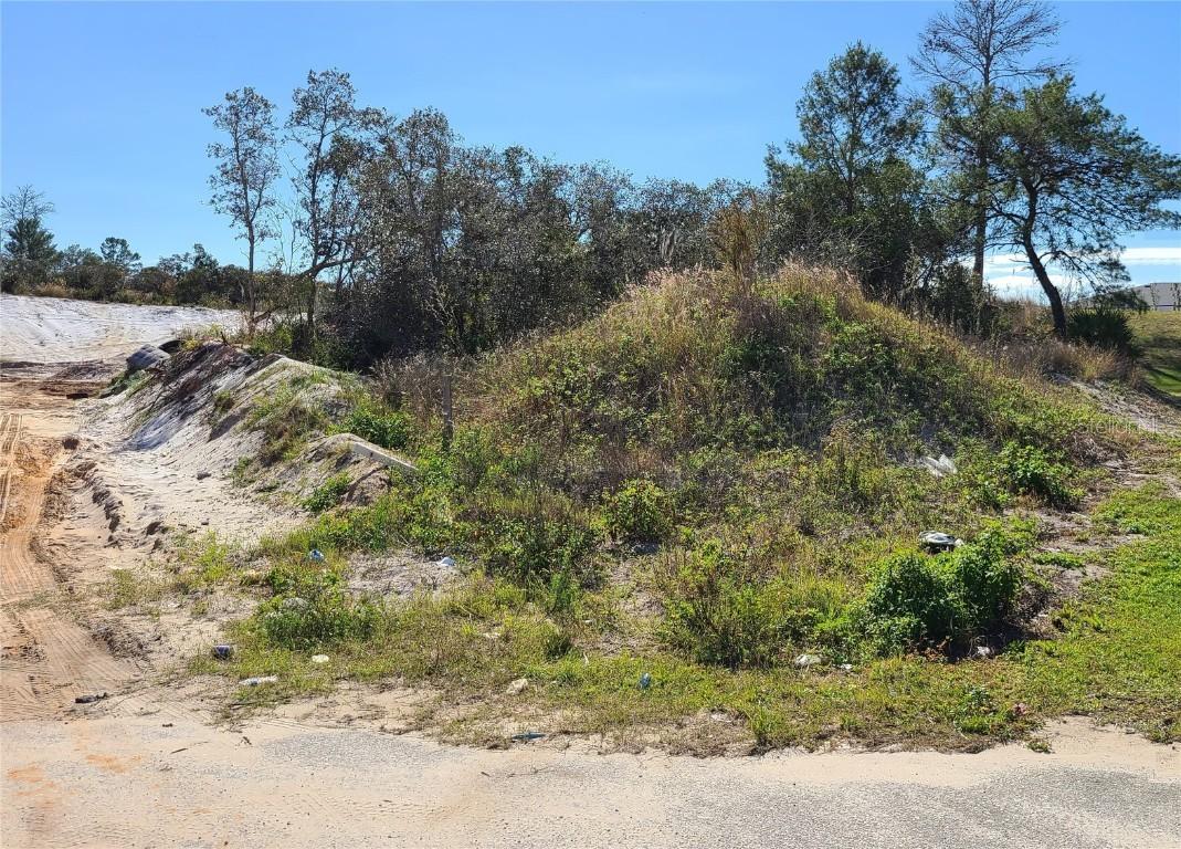 30 Larch Ln., Poinciana, FL 34759
