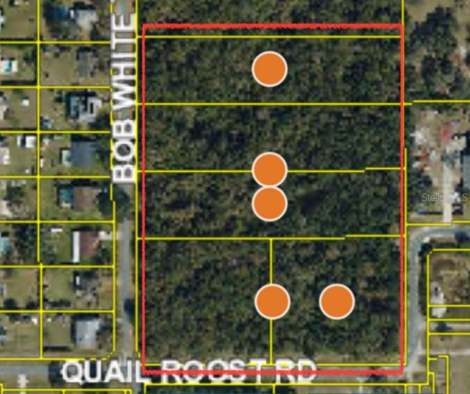 Bob White Tr., St Cloud, FL 34772