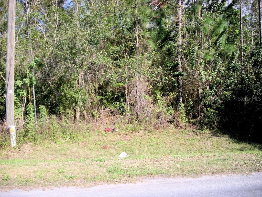 621 Rosaro Ct., Kissimmee, FL 34758