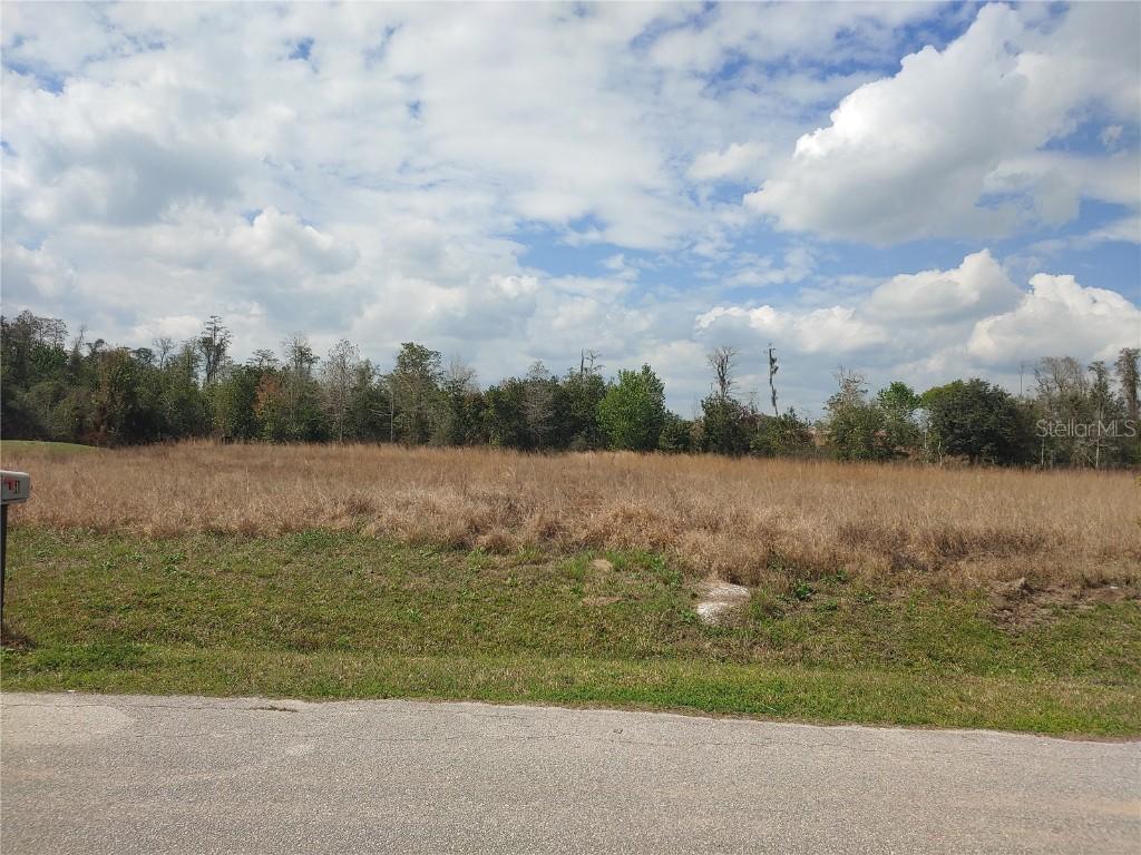 634 Heraldo Ct., Kissimmee, FL 34758