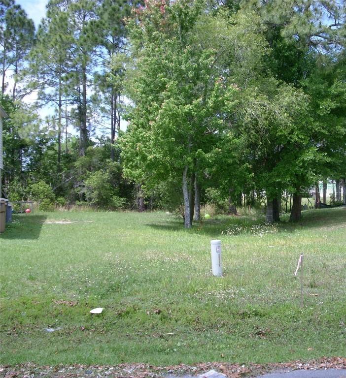 919 Van Loon Ct., Kissimmee, FL 34758