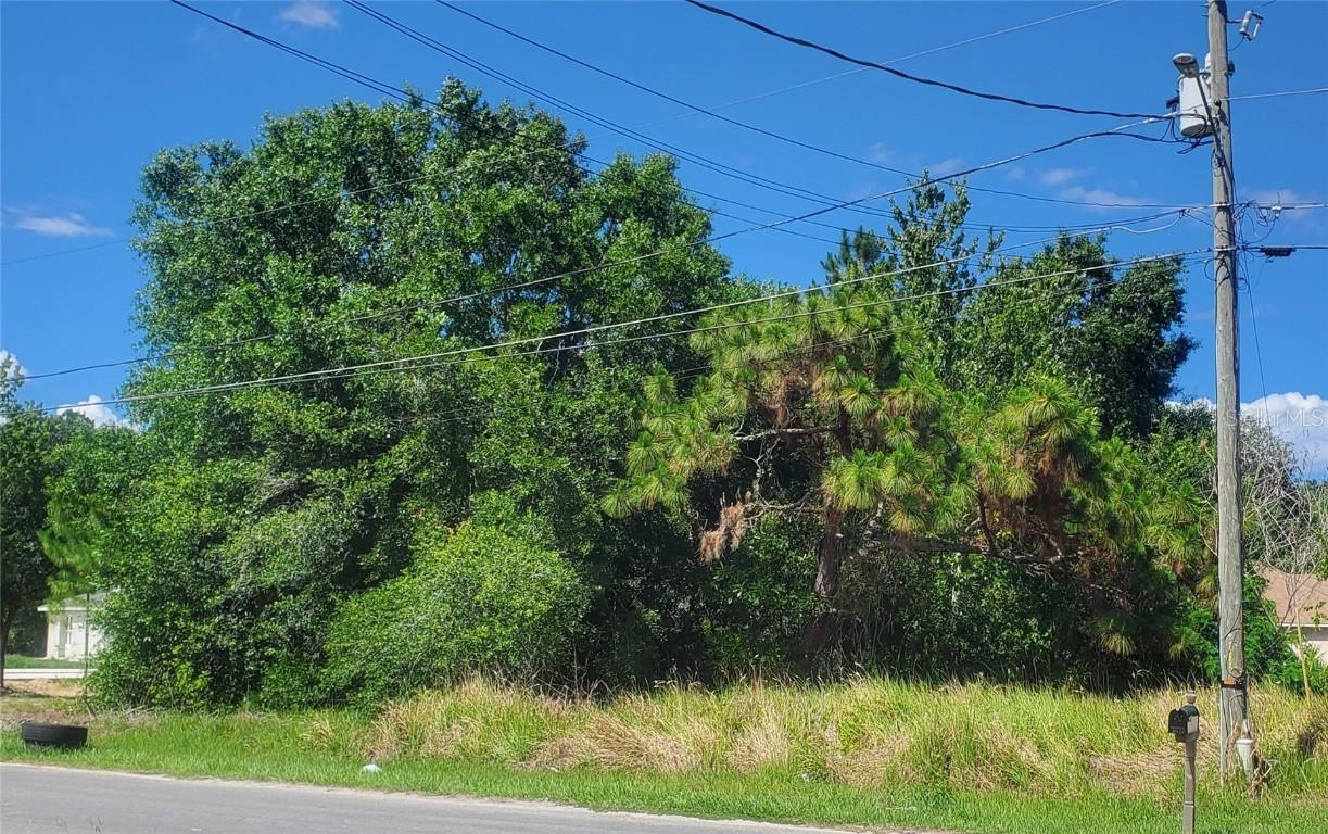 1322 Burnley Ct., Kissimmee, FL 34758