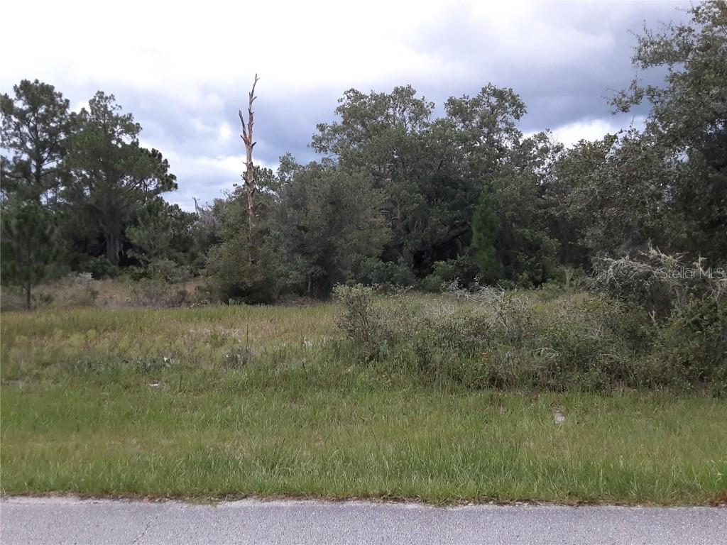 1202 Vernon Way, Poinciana, FL 34759