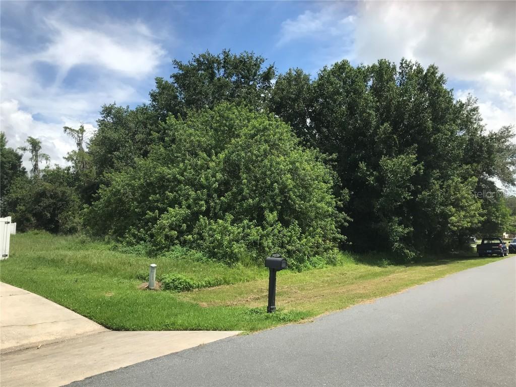 206 Chadworth Dr., Kissimmee, FL 34758