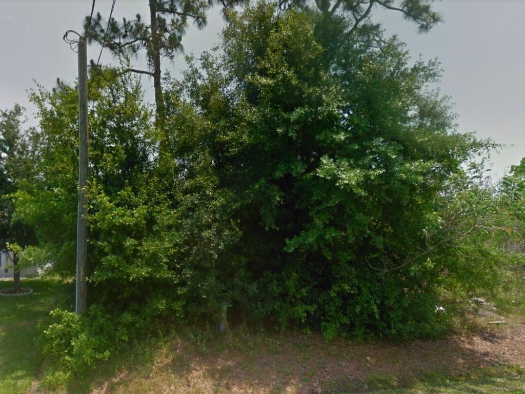 Montgomery Ct., Kissimmee, FL 34758