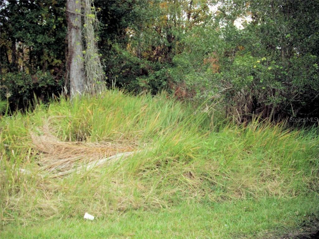 994 Derbyshire Dr., Kissimmee, FL 34758