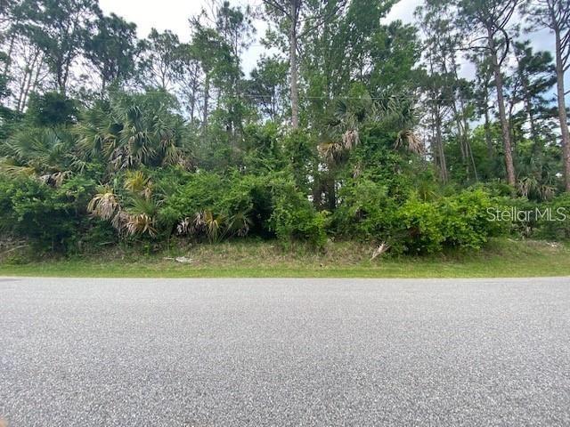 133 Palmwood Dr., Palm Coast, FL 32164