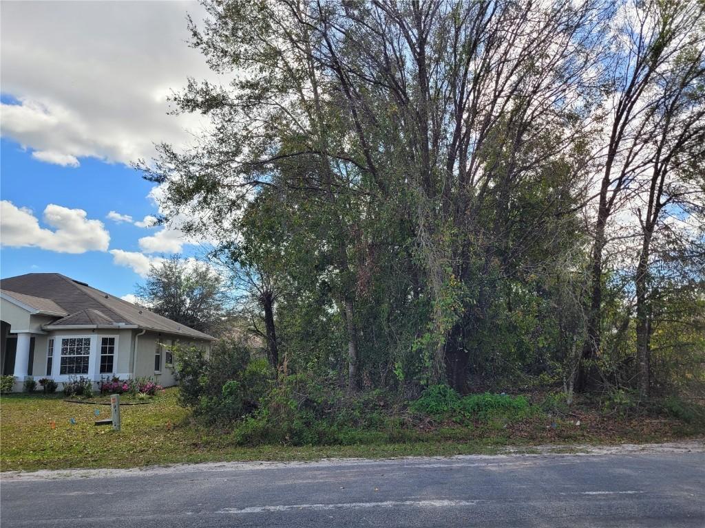 Bromwich Dr., Kissimmee, FL 34758
