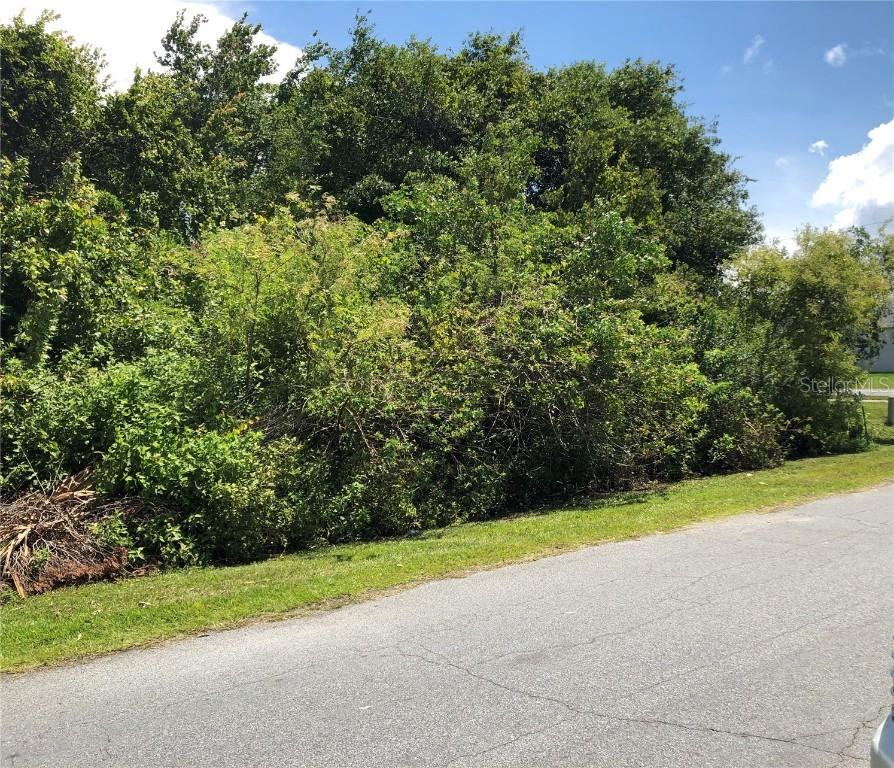 155 Brixham Ct., Kissimmee, FL 34758